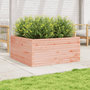 Voir la diapositive 3 : VIDAXL Jardiniere 100x100x46 cm bois massif de douglas