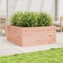 Voir la diapositive 3 : VIDAXL Jardiniere 100x100x46 cm bois massif de douglas