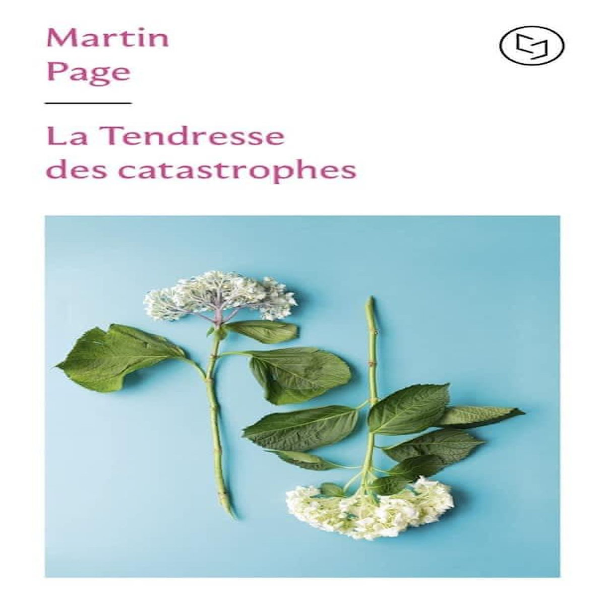 LA TENDRESSE DES CATASTROPHES, Page Martin