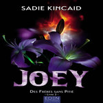 DES FRERES SANS PITIE TOME 2 : JOEY, Kincaid Sadie