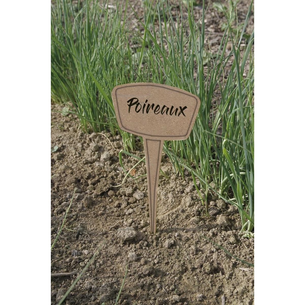 Nortene 5 étiquettes à planter Label 25 - PP / Miscanthus - Marron - 25cm