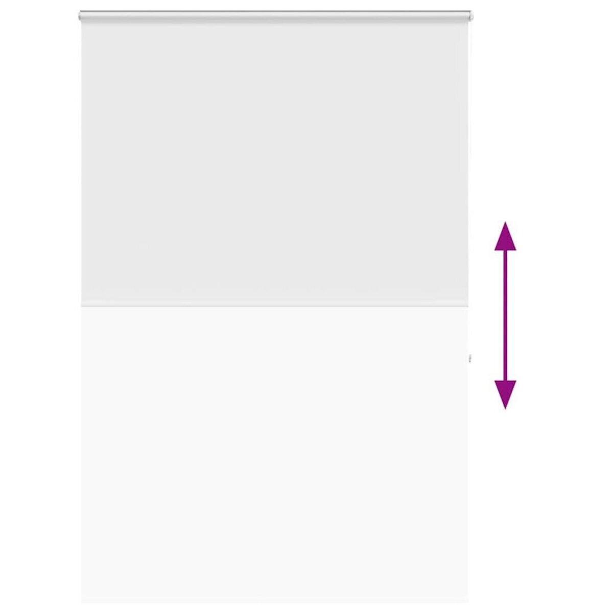 VIDAXL Store enrouleur de douche avec cassette largeur du tissu 156 cm