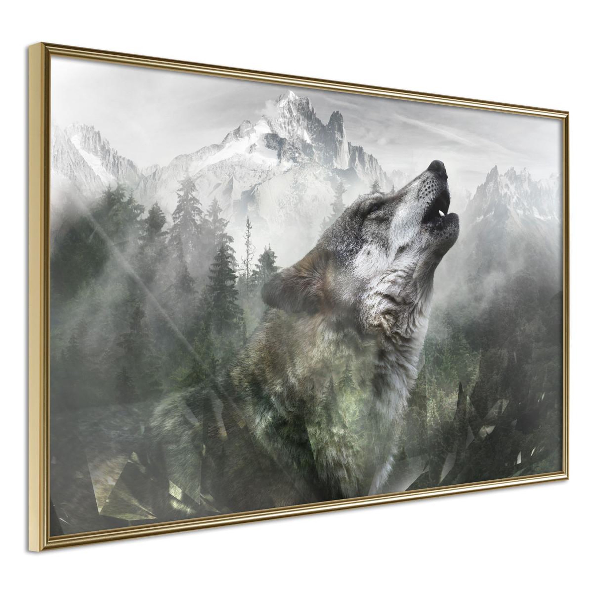 Voir la diapositive 1 : Paris Prix Affiche Murale Encadrée  Wolf's Territory