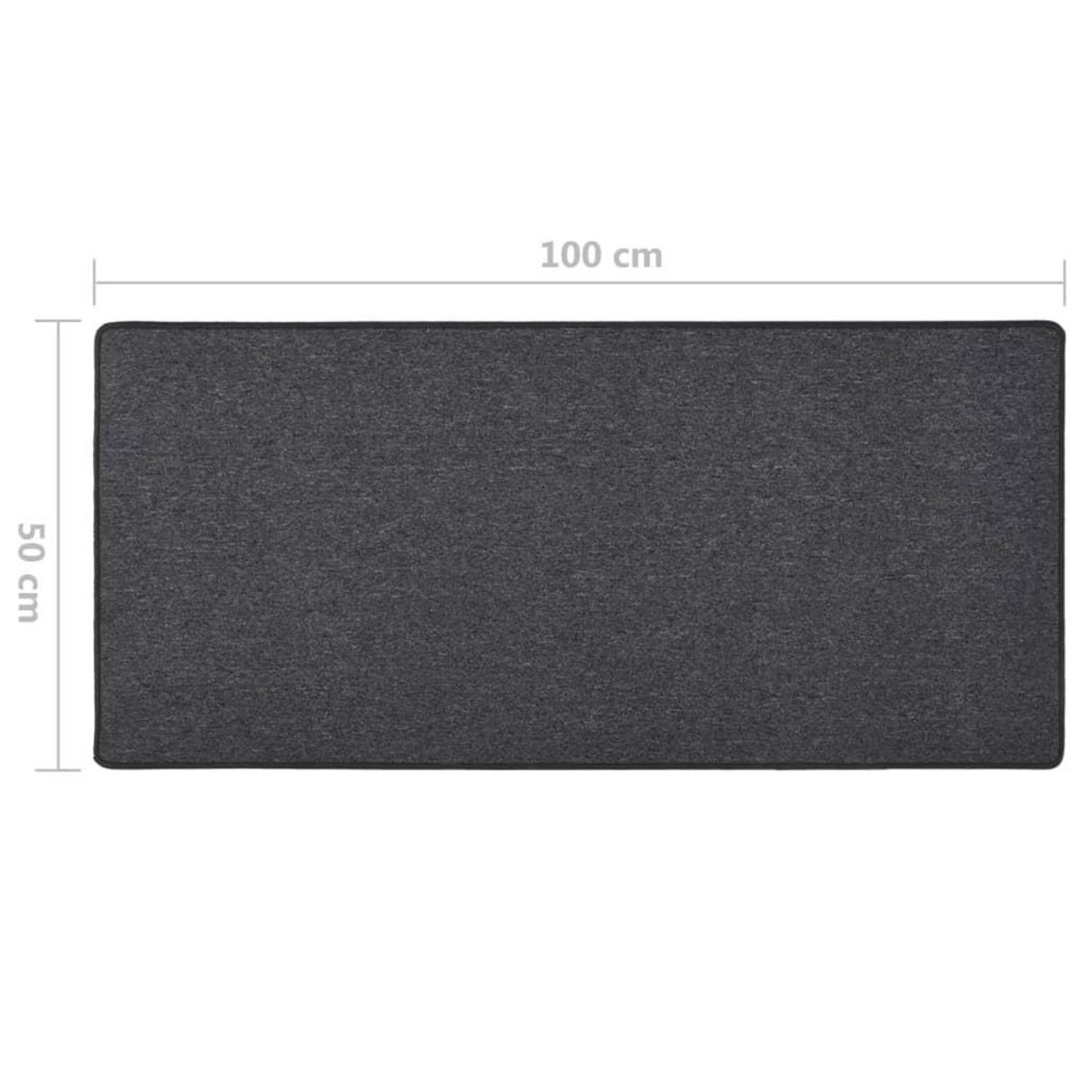 VIDAXL Tapis de couloir Anthracite 50x100 cm