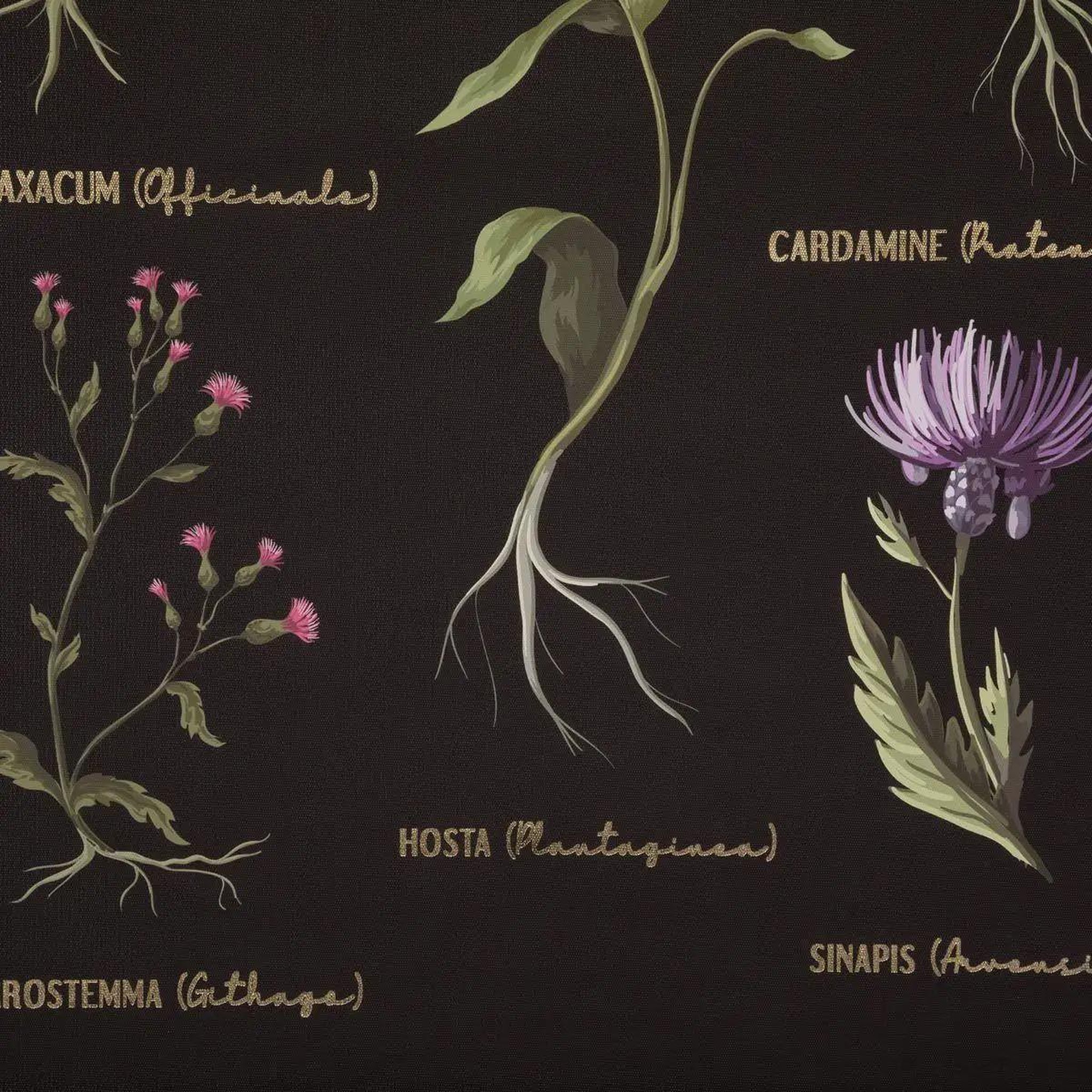 Voir la diapositive 3 : ATMOSPHERA Déco murale à suspendre  midnight garden  50x73cm noir