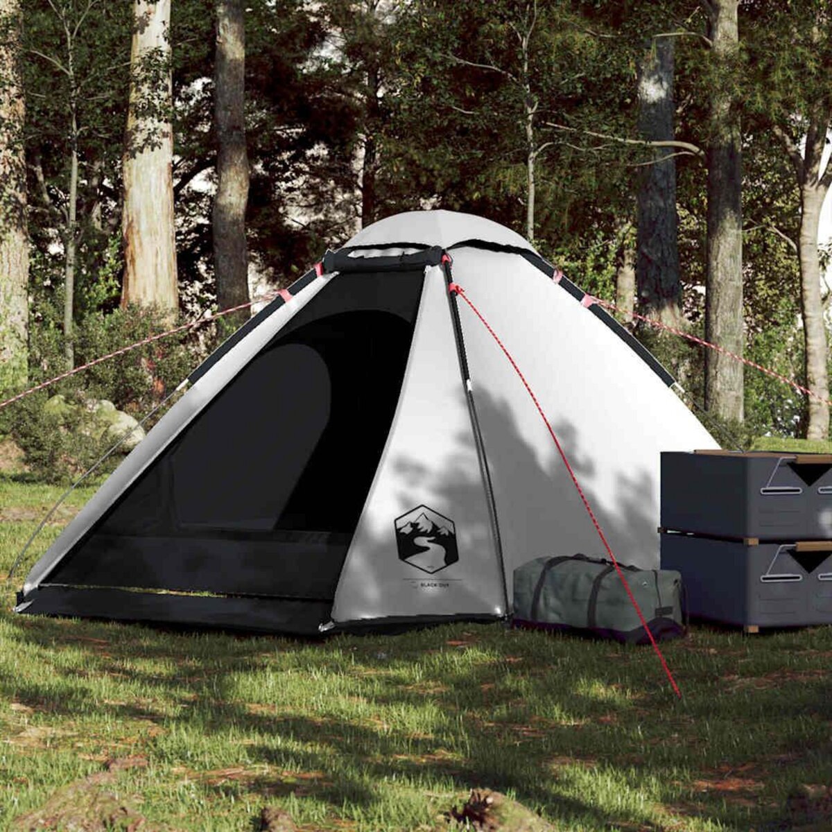 VIDAXL Tente de camping a dome 4 personnes tissu occultant impermeable