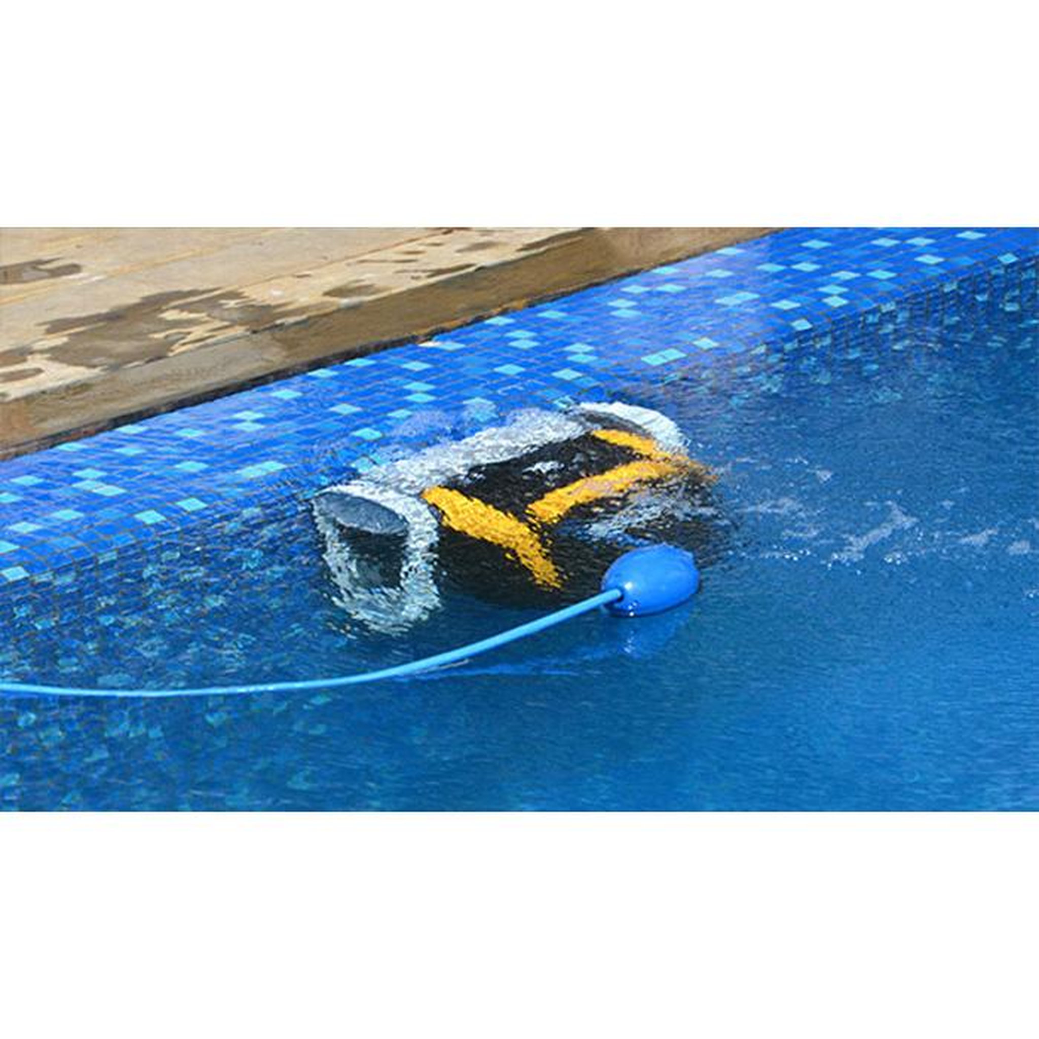 Voir la diapositive 3 : Dolphin Robot electrique de piscine fond et parois - e20