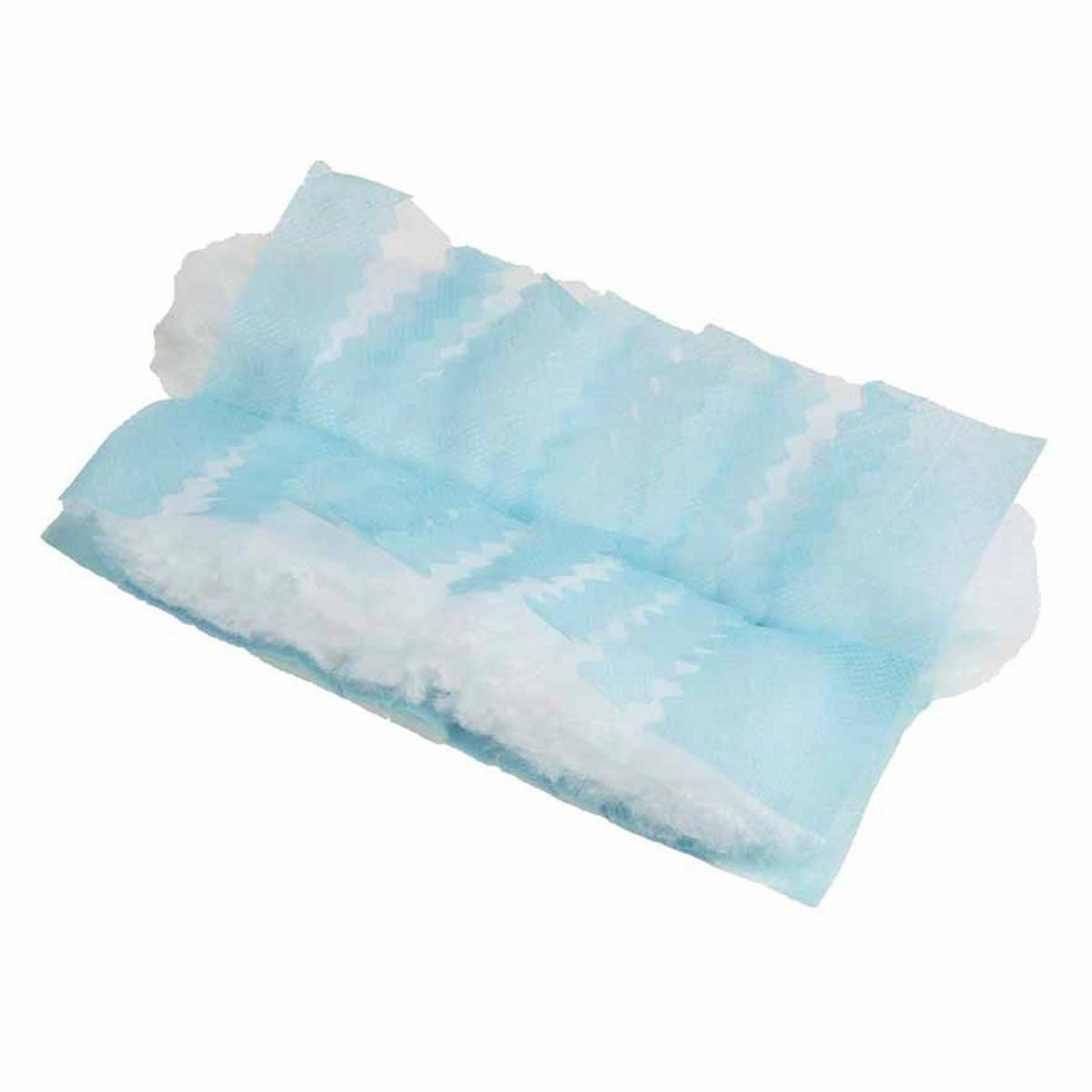 HOMEA Lot de 10 recharges plumeau  dépoussiérant  bleu