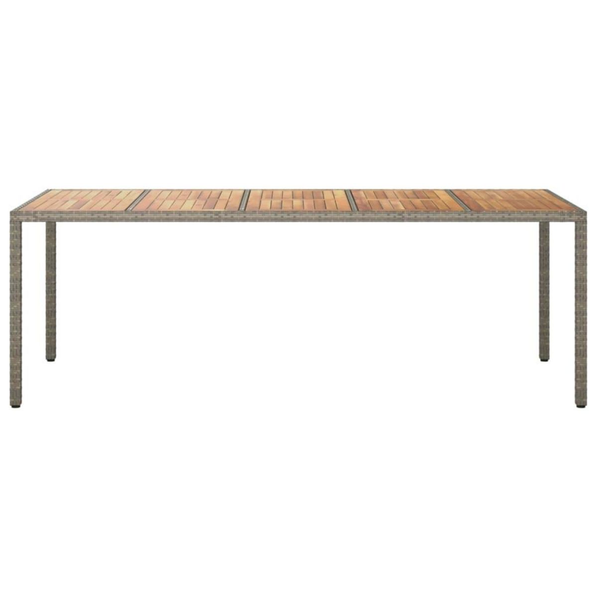 VIDAXL Table de jardin Gris 250x100x75 cm Resine tressee