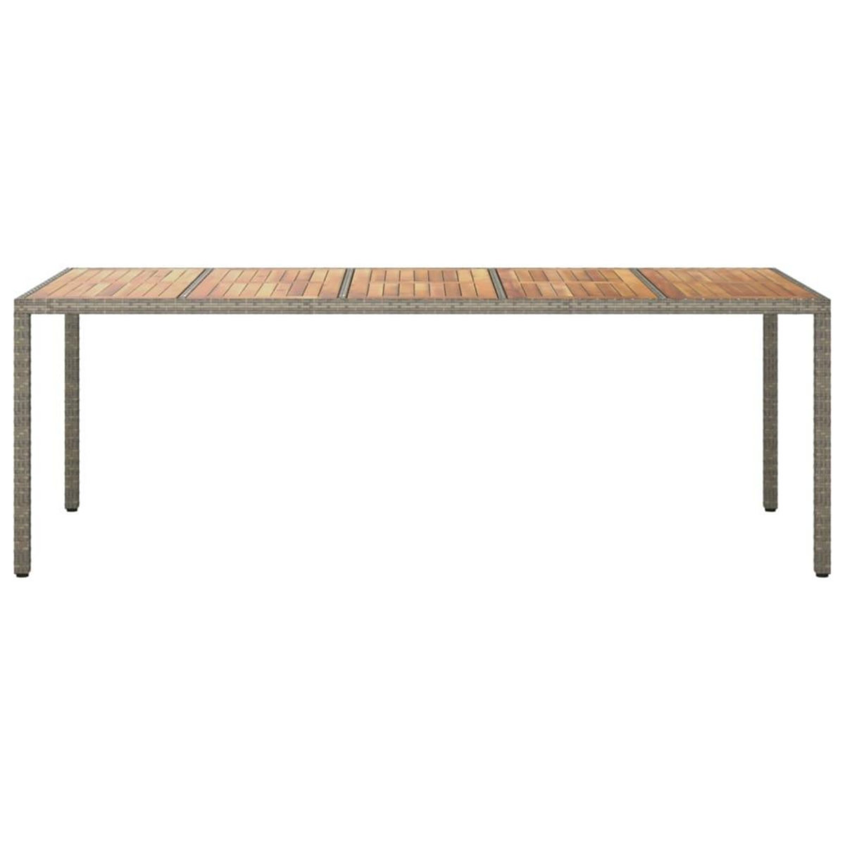 VIDAXL Table de jardin Gris 250x100x75 cm Resine tressee