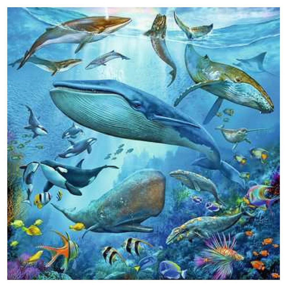 RAVENSBURGER 3 X 49pcs Le monde animal de l'océan