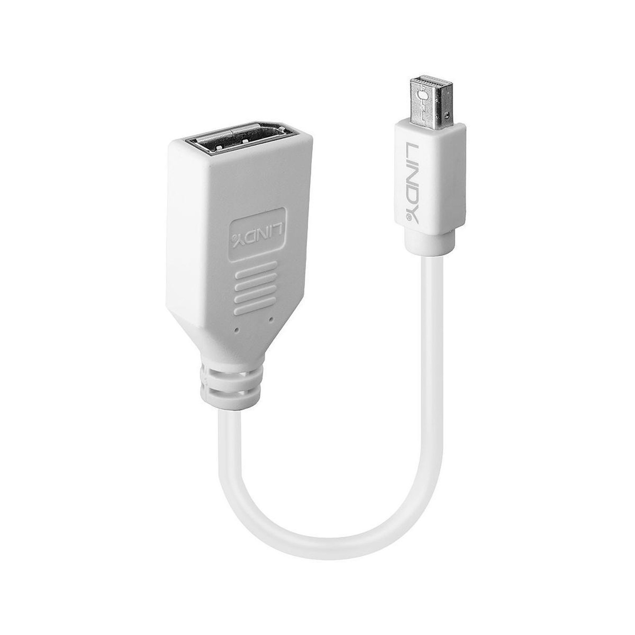 LINDY Lindy 41021 câble displayport 0,15 m mini displayport blanc