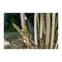 Voir la diapositive 5 : Gardena Coupe-branches SlimCut zéro angle d'ouverture