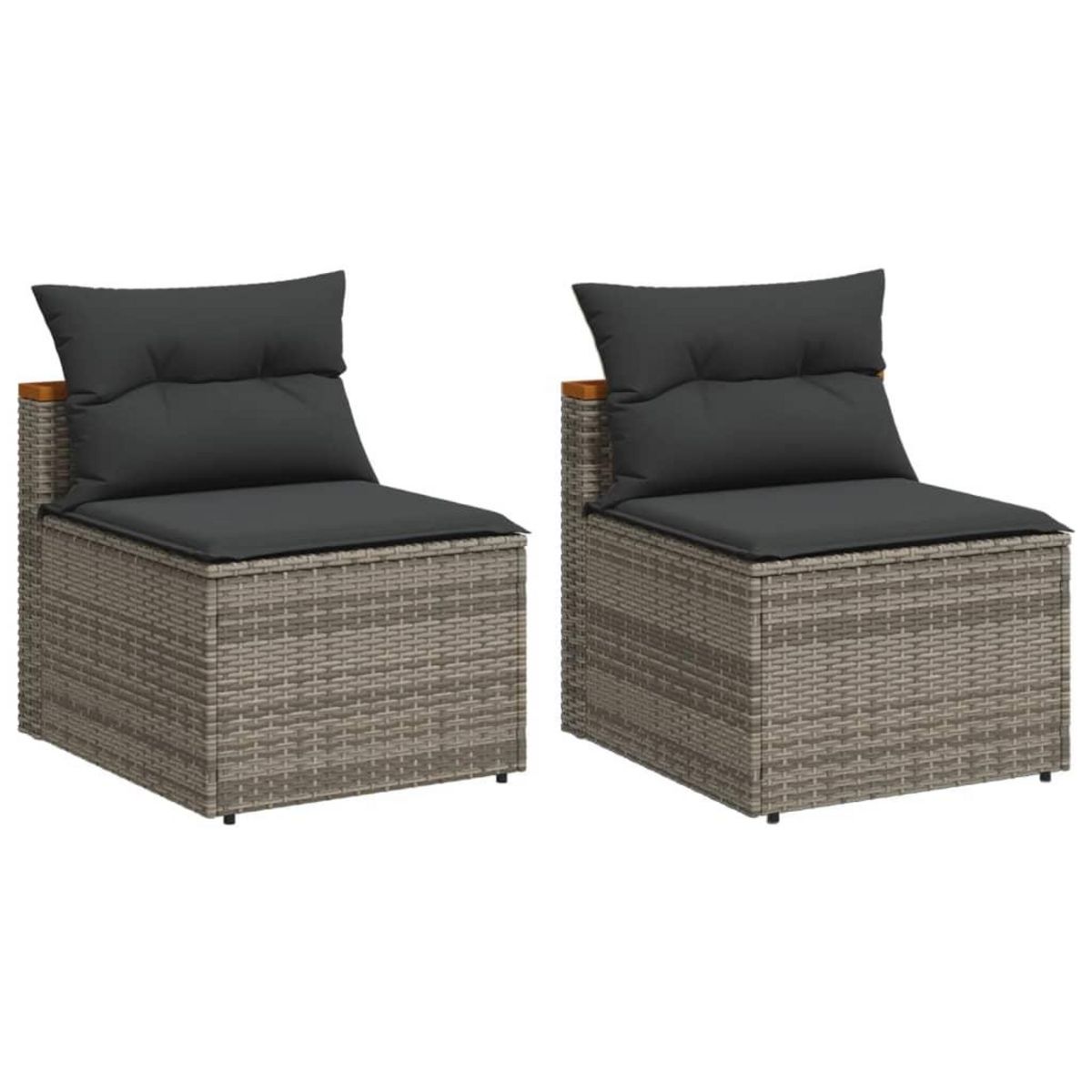 VIDAXL Canapes de jardin sans accoudoirs avec coussins 2 pcs gris
