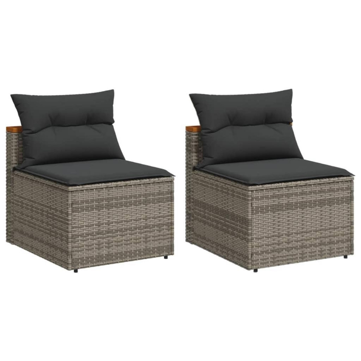 VIDAXL Canapes de jardin sans accoudoirs avec coussins 2 pcs gris