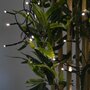  Guirlande lumineuse solaire extérieure de Noël, 15m de long, 150 LED multicolores, 8 modes