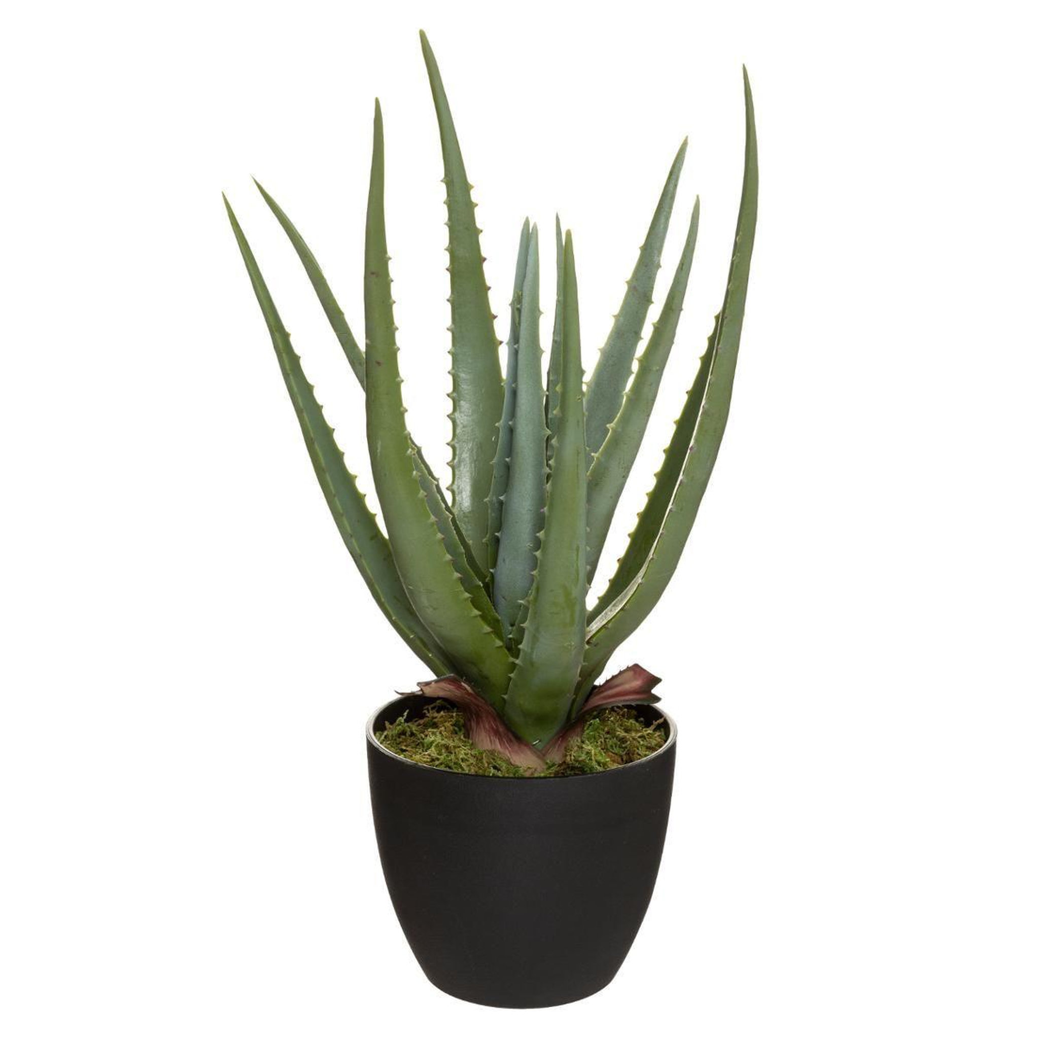 Voir la diapositive 1 : ATMOSPHERA Plante artificielle en pot  aloe vera  44cm vert