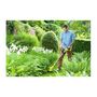 Voir la diapositive 2 : Ryobi Coupe bordures - dresse bordures RYOBI 18V One+ - 1 batterie LithiumPlus 2.5Ah - 1 chargeur rapide