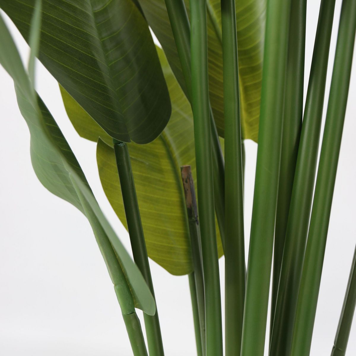 PLANT IN A BOX Strelitzia artificiel - Hauteur 160cm