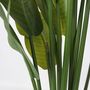 Voir la diapositive 3 : PLANT IN A BOX Strelitzia artificiel - Hauteur 160cm