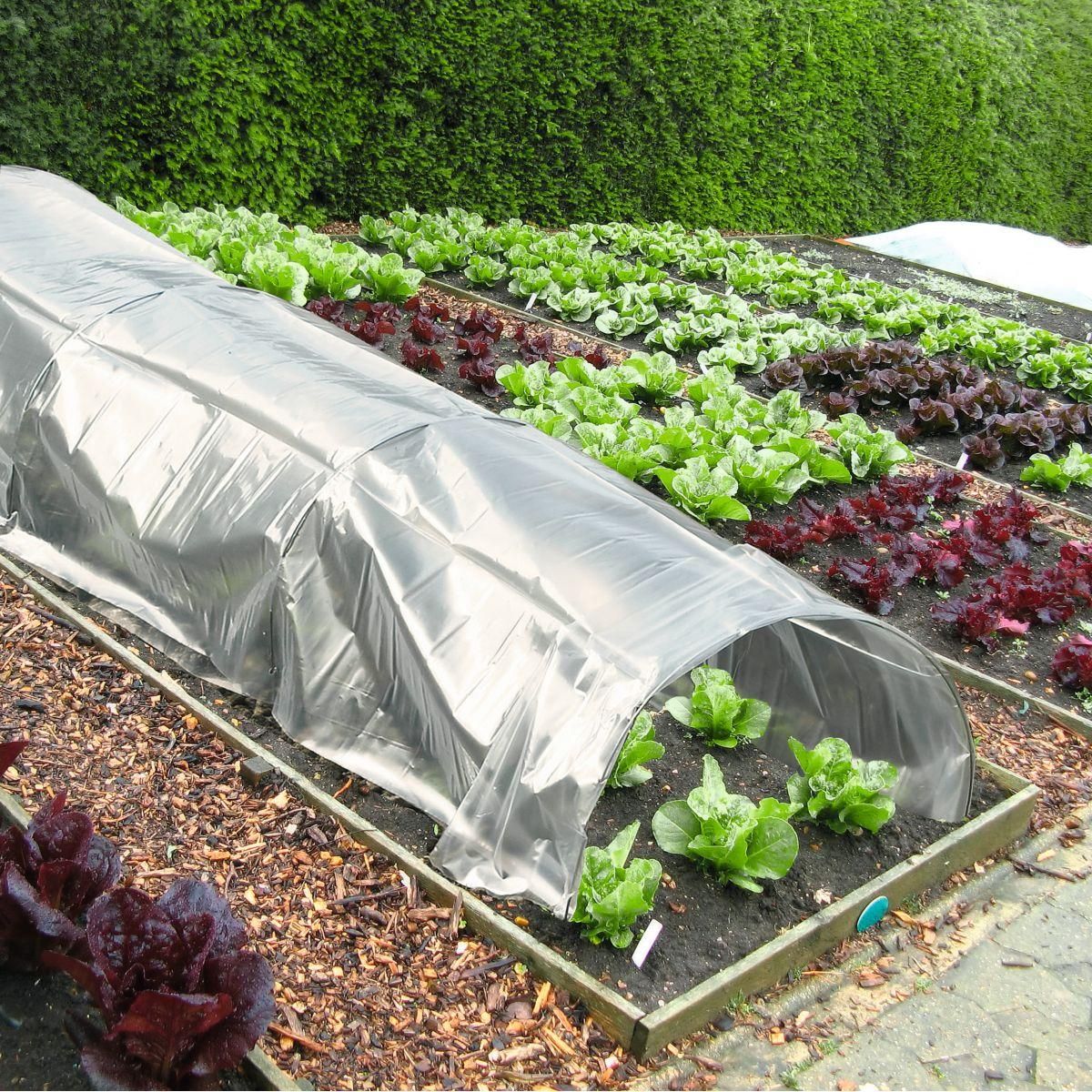 Jardikt Tunnel de forçage 5m 