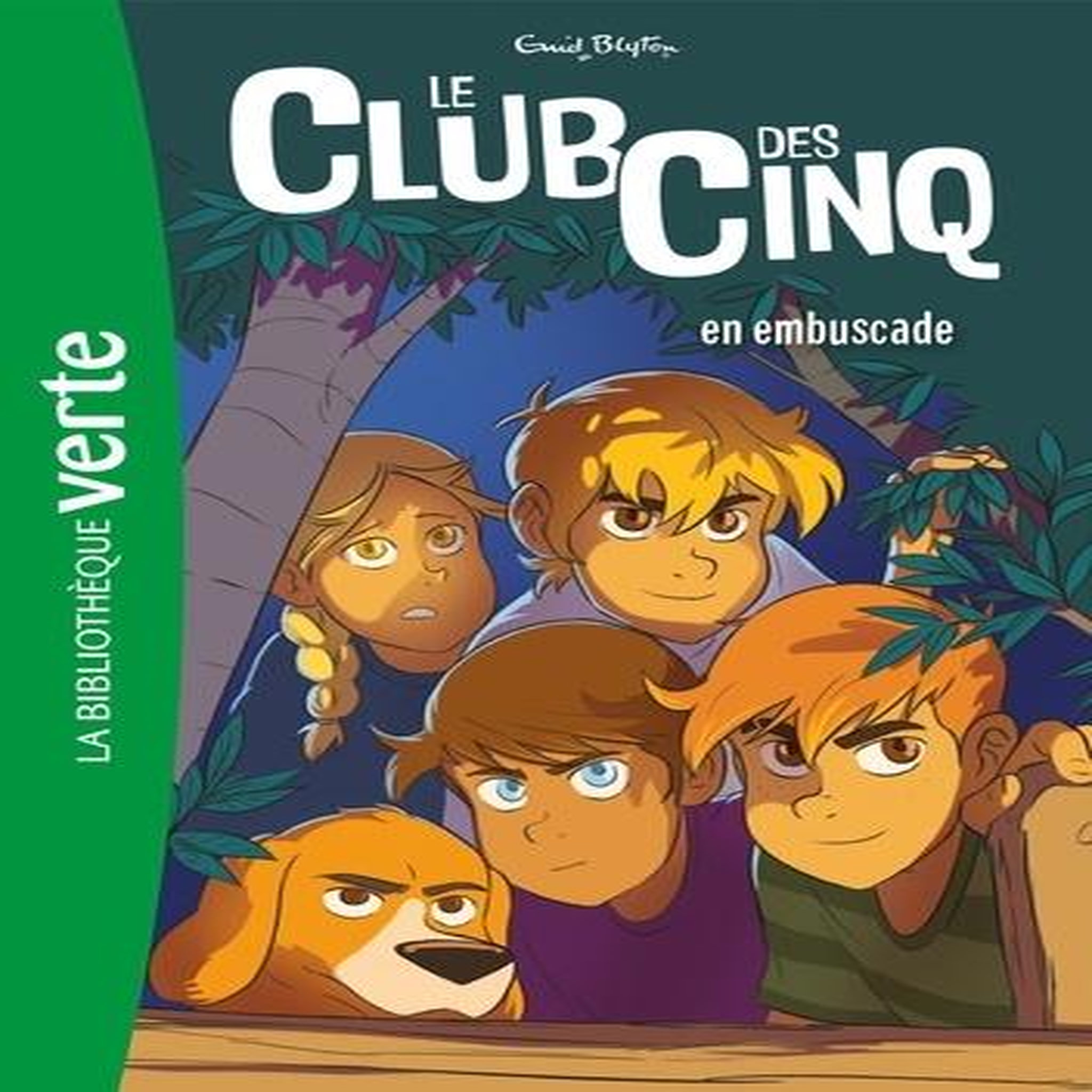 LE CLUB DES CINQ TOME 21 : LE CLUB DES CINQ EN EMBUSCADE, Blyton Enid