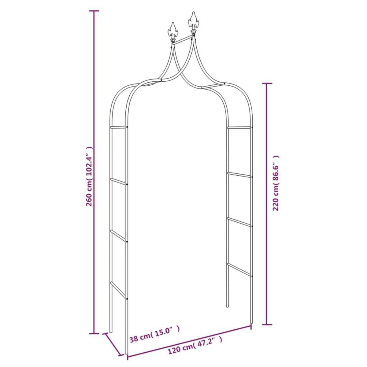 VIDAXL Arches de jardin 2 pcs Noir 120x38x260 cm Acier