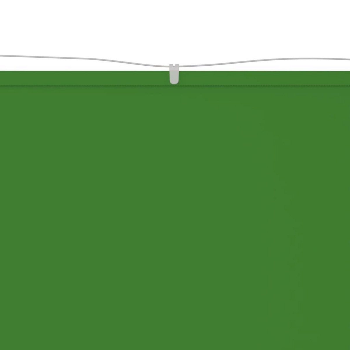 VIDAXL Auvent vertical Vert clair 200x420 cm Tissu oxford