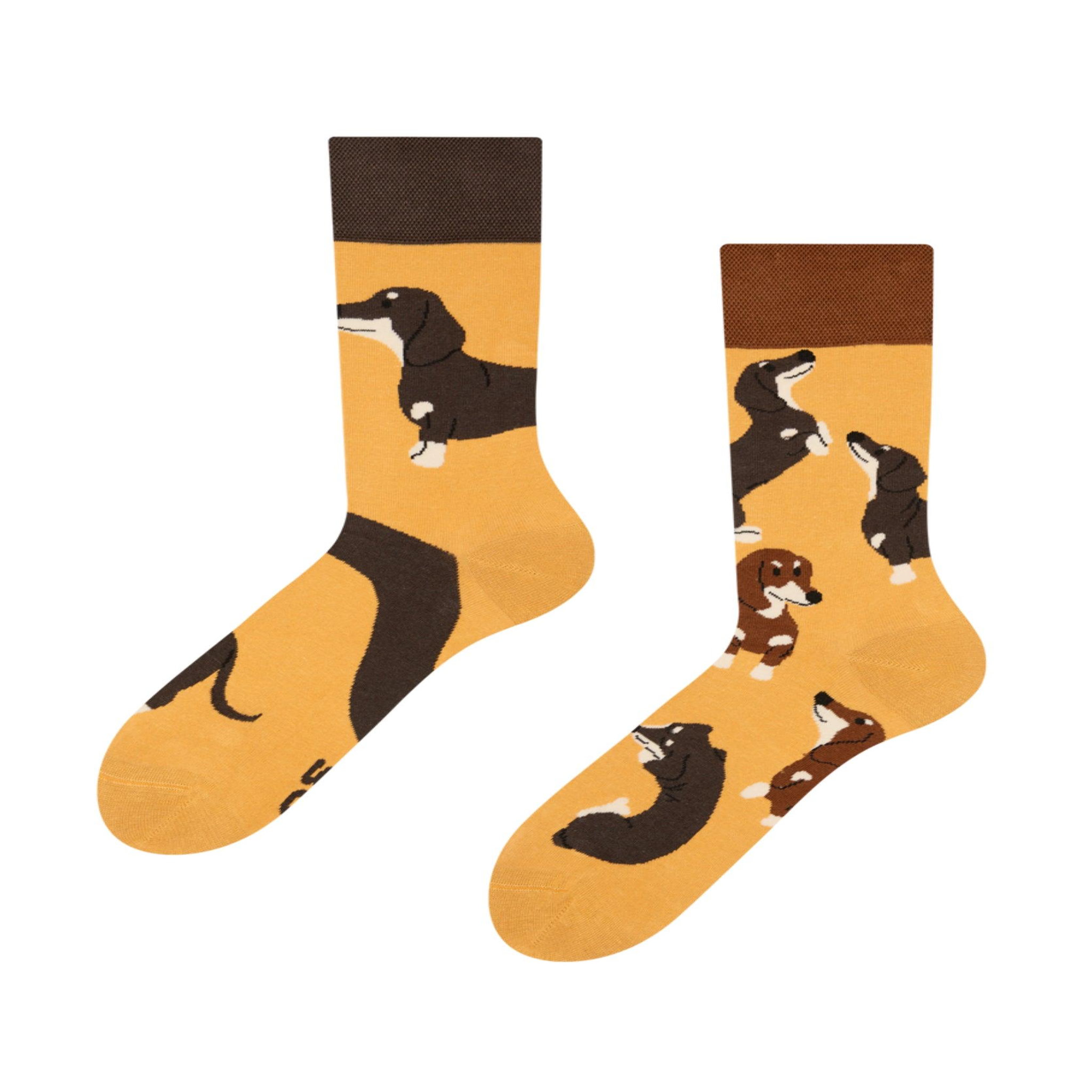 DEDOLES Chaussettes dedoles teckels. Coloris disponibles : Marron