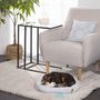 Voir la diapositive 5 : Paris Prix Jouet Anneau pour Chien & Chat  Puppy  8cm Rose