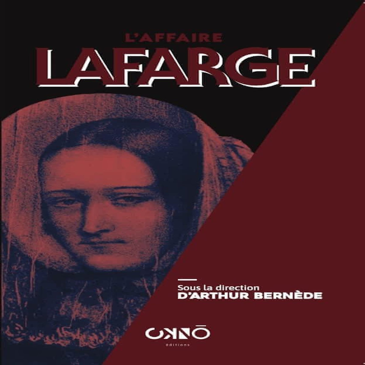 L'AFFAIRE LAFARGE, Bernède Arthur