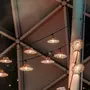Lumisky Guirlande lumineuse MOOREA LIGHT CONNECTABLE Beige Jacinthe d'eau 6m