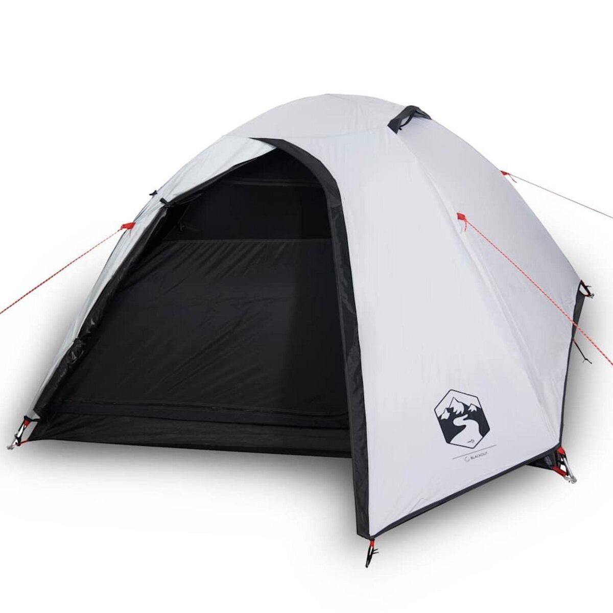 VIDAXL Tente de camping a dome 4 personnes tissu occultant impermeable