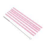 Paris Prix Lot de 6 Pailles & Brosse  Réutilisables  23cm Rose