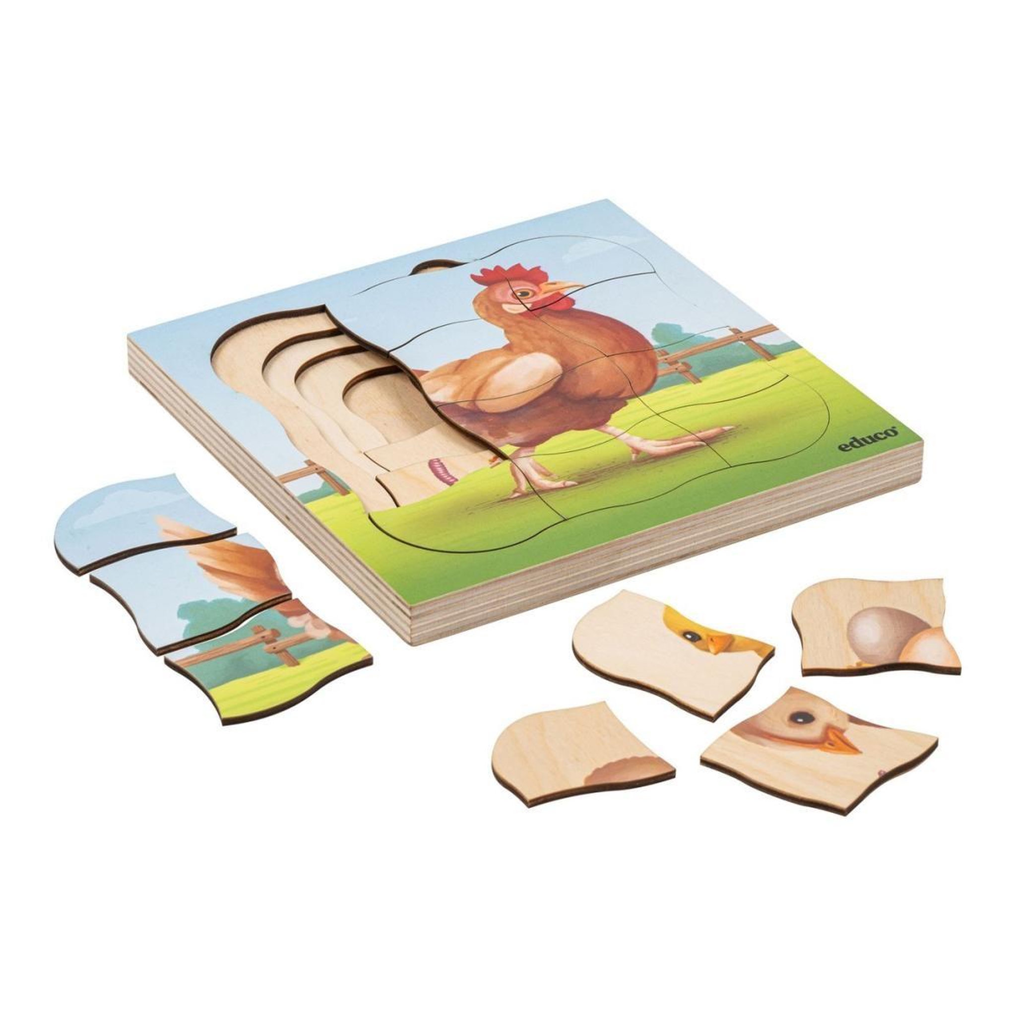 EDUCO À la ferme - la poule pousse — 31 pièces de puzzle