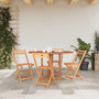 Voir la diapositive 3 : VIDAXL Table pliable de jardin papillon 120x70x75 cm Bois teck solide