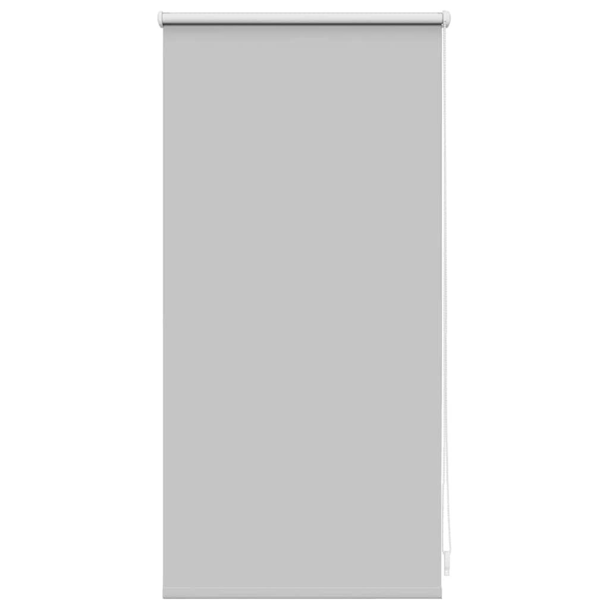 VIDAXL Store enrouleur occultant 44,4 x 100 cm, largeur du tissu 40 cm, gris