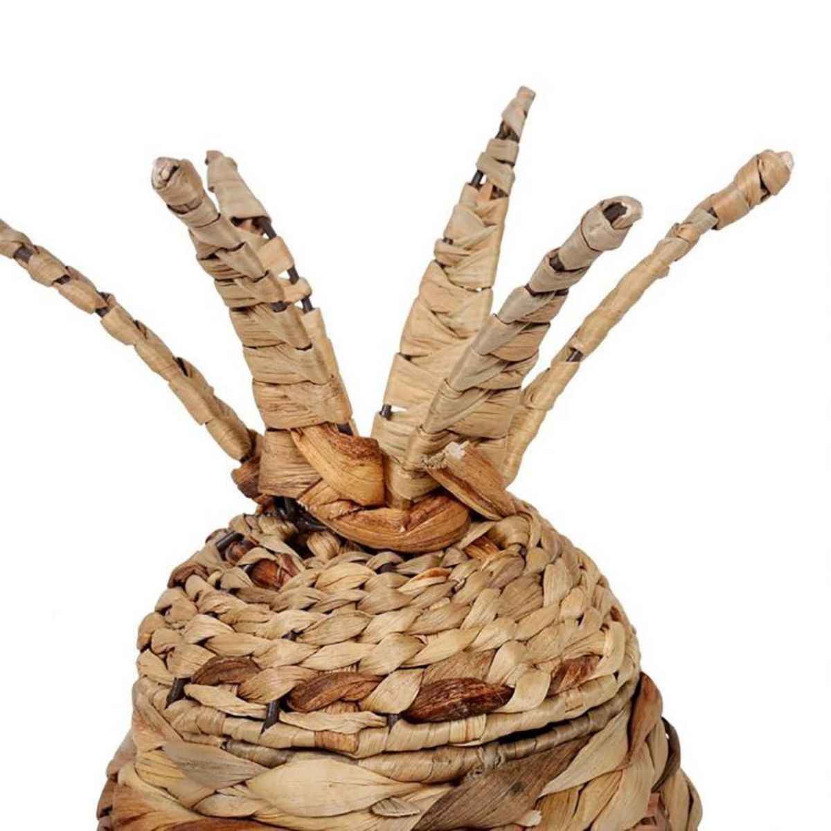 OSTARIA Boite ananas paille naturelle