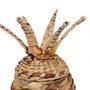 Voir la diapositive 3 : OSTARIA Boite ananas paille naturelle