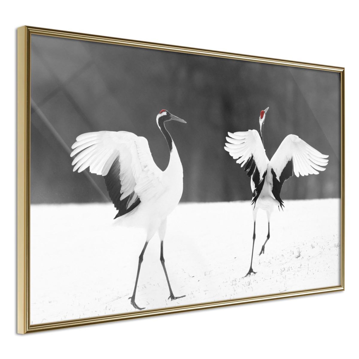Paris Prix Affiche Murale Encadrée  Bird Date