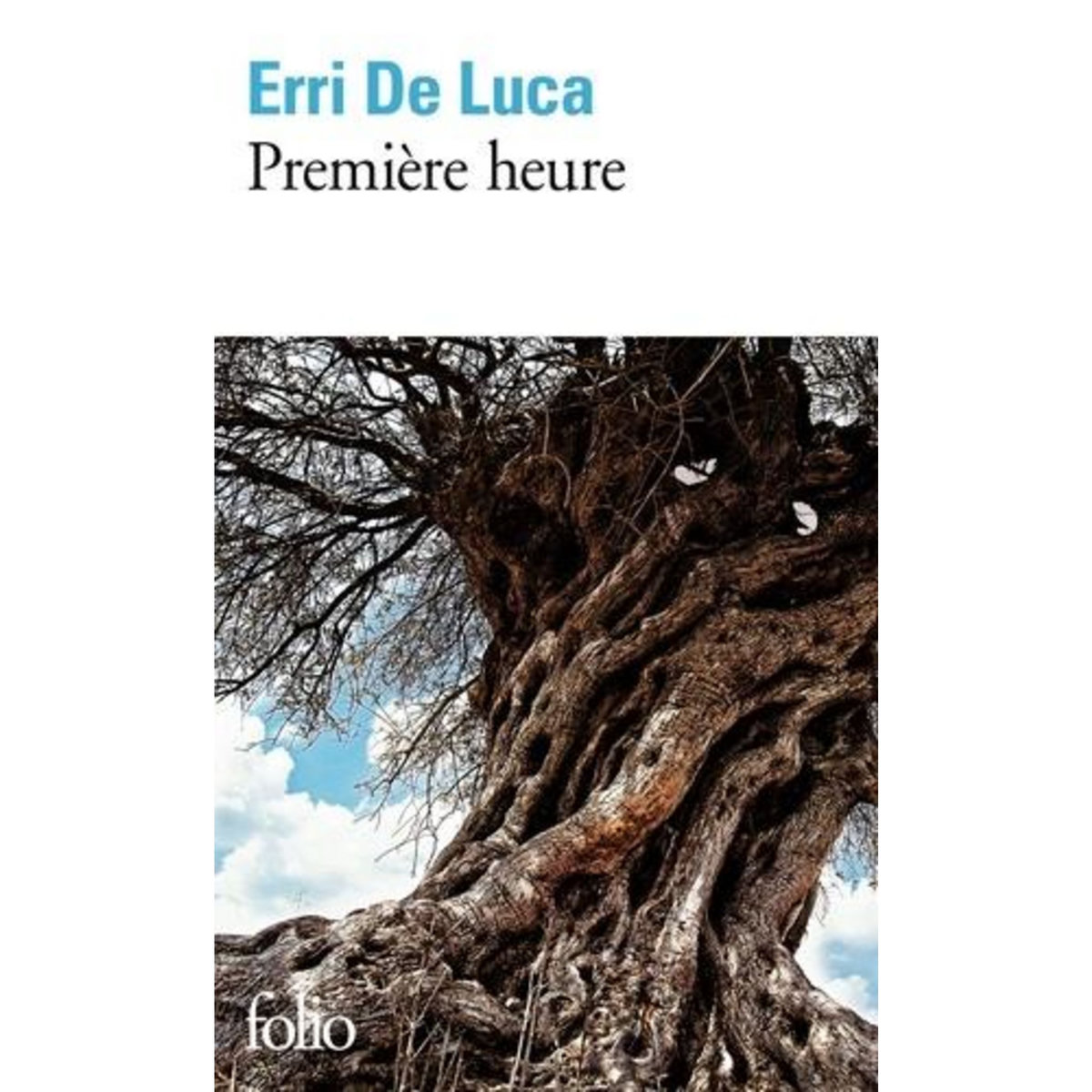 PREMIERE HEURE, De Luca Erri