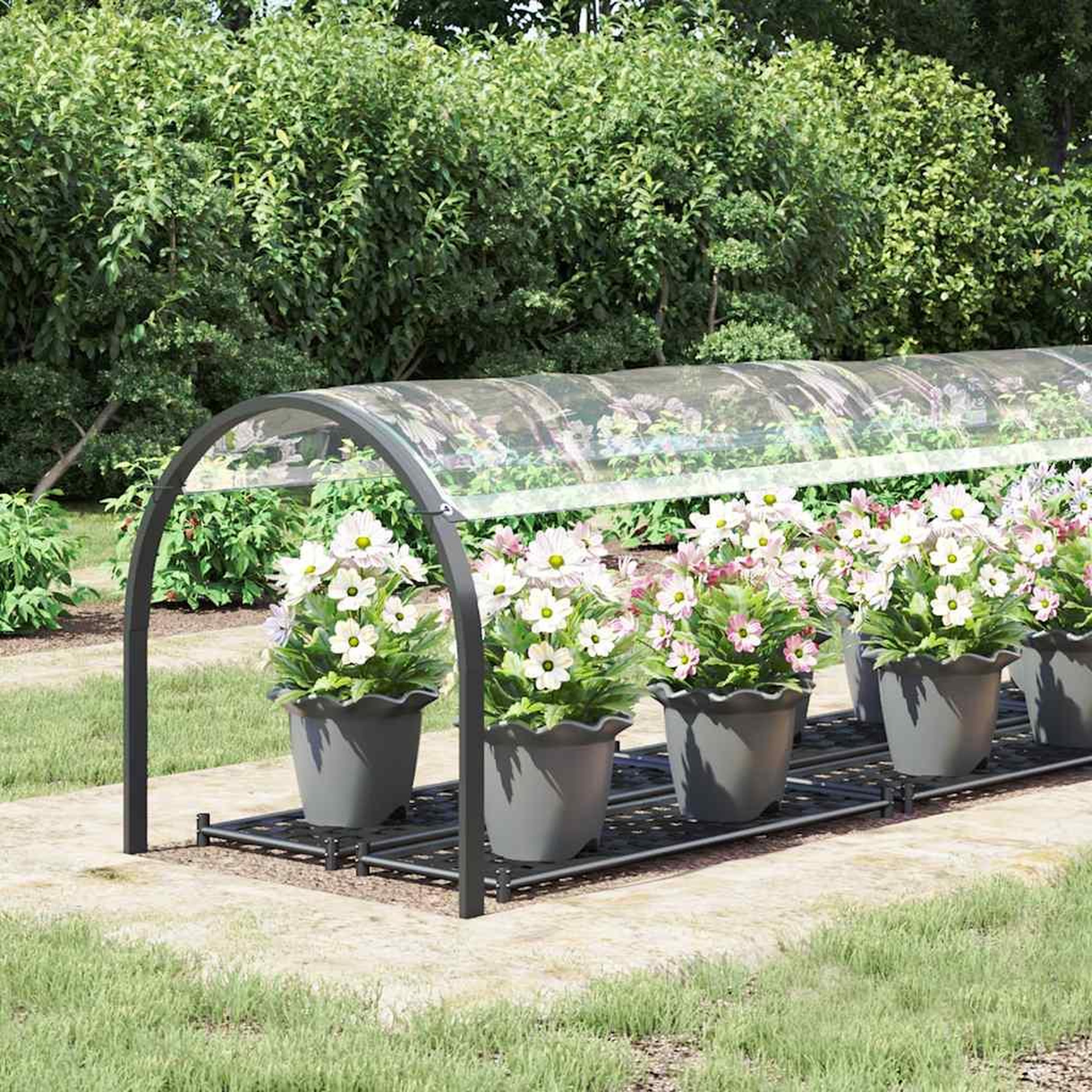 Voir la diapositive 3 : VIDAXL Bache transparente avec œillets 1x4 m PVC