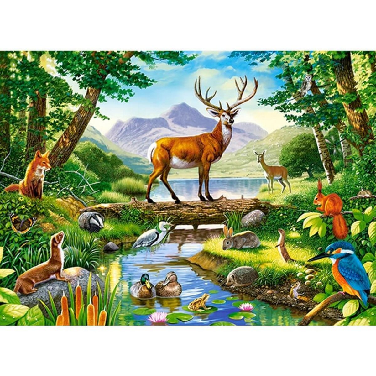 Castorland Puzzle 300 pièces : Harmonie dans les bois