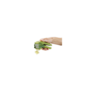 Voir la diapositive 2 : Joseph Joseph Accessoire de cuisine Joseph Joseph CleanForce Presse ail avec lame d essuie glace
