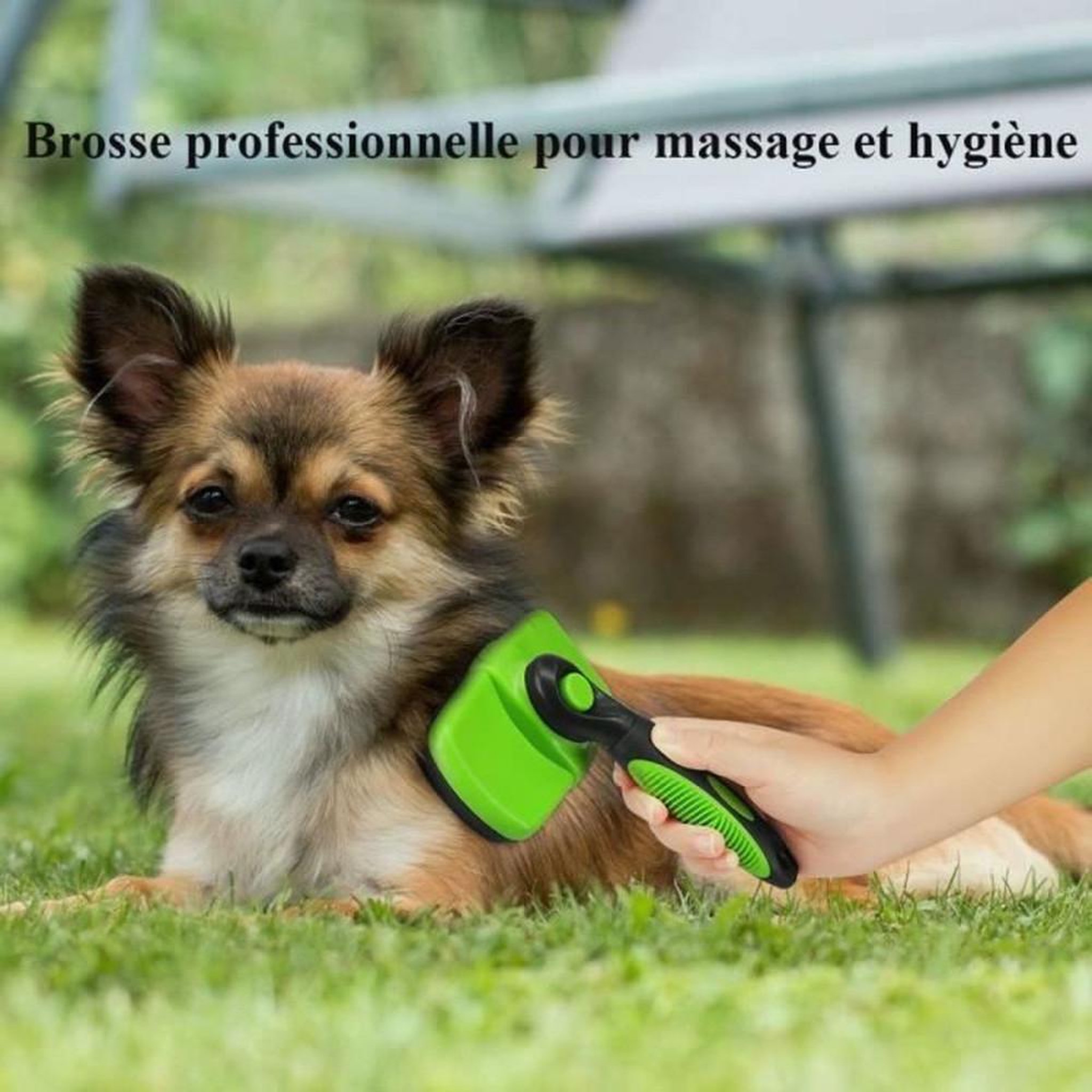 Voir la diapositive 4 : Brosse de toilettage rétractable auto-nettoyante pour chien, démêlage et enlève jusqu'à 95 % des poils, plastique et acier inoxydable, manche ergonomique antidérapant