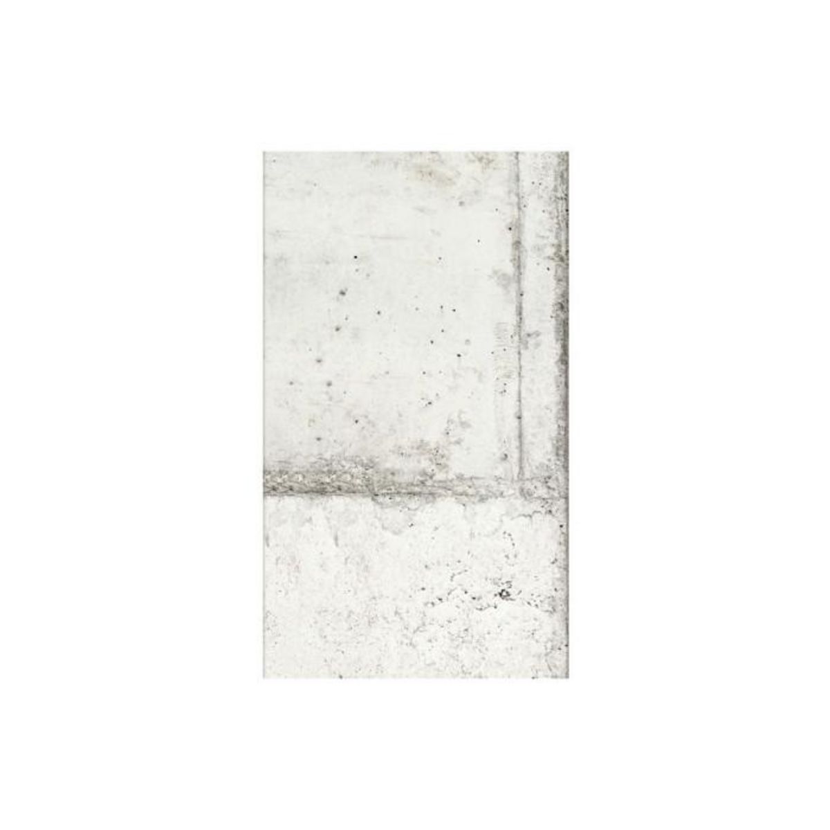 Paris Prix Papier Peint  The Charm of Concrete  50x1000cm