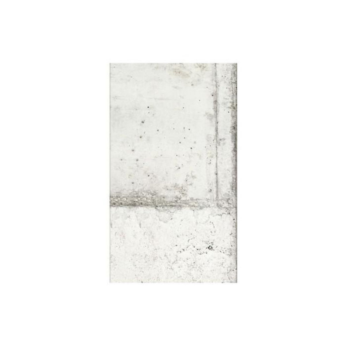 Paris Prix Papier Peint  The Charm of Concrete  50x1000cm