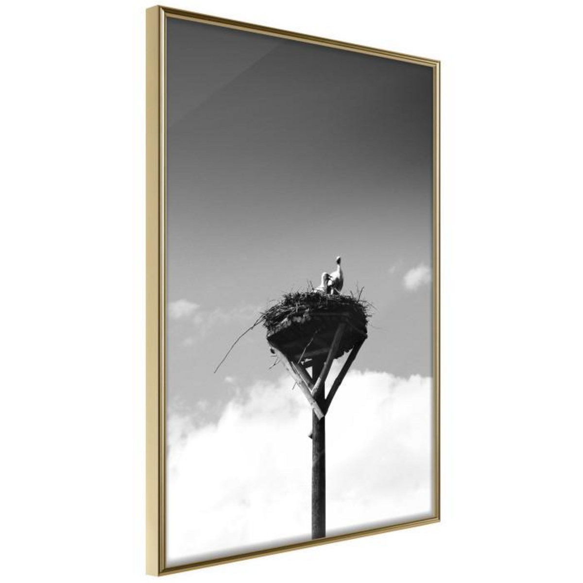 Paris Prix Affiche Murale Encadrée  Presage of Spring