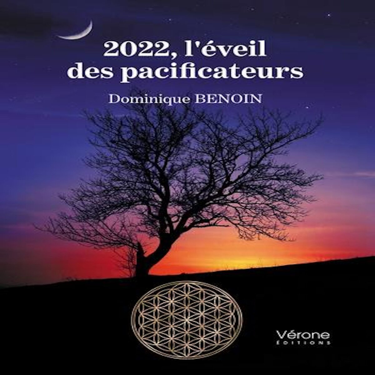 2022, L'EVEIL DES PACIFICATEURS, Benoin Dominique