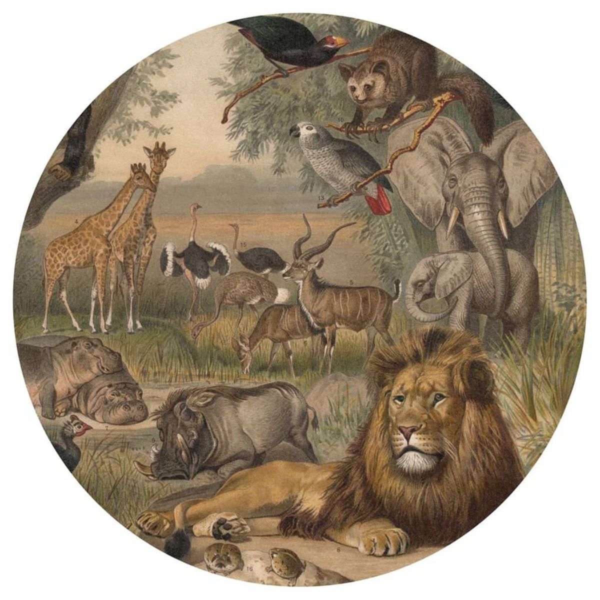 WallArt WallArt Papier peint cercle Animals of Africa 142,5 cm